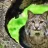 Bobthecat85